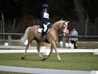 36 Annalisa di Cintio Fernhill Gold Dust